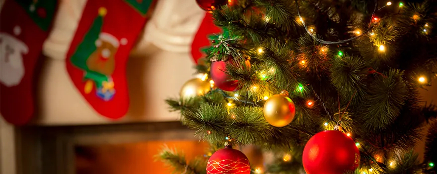 Boas Festas!